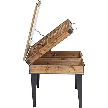 Amazon｜【KARE（カレ）正規品】 コレクター 55x55cm サイド